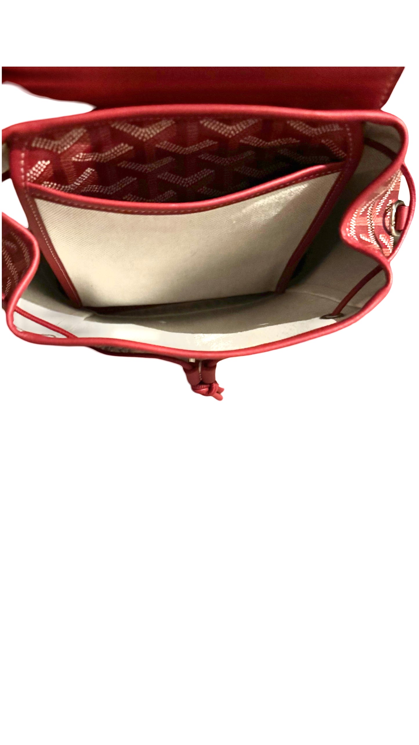 GOYARD LE SAC ALPIN MINI handbag/bqckpack